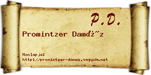 Promintzer Damáz névjegykártya